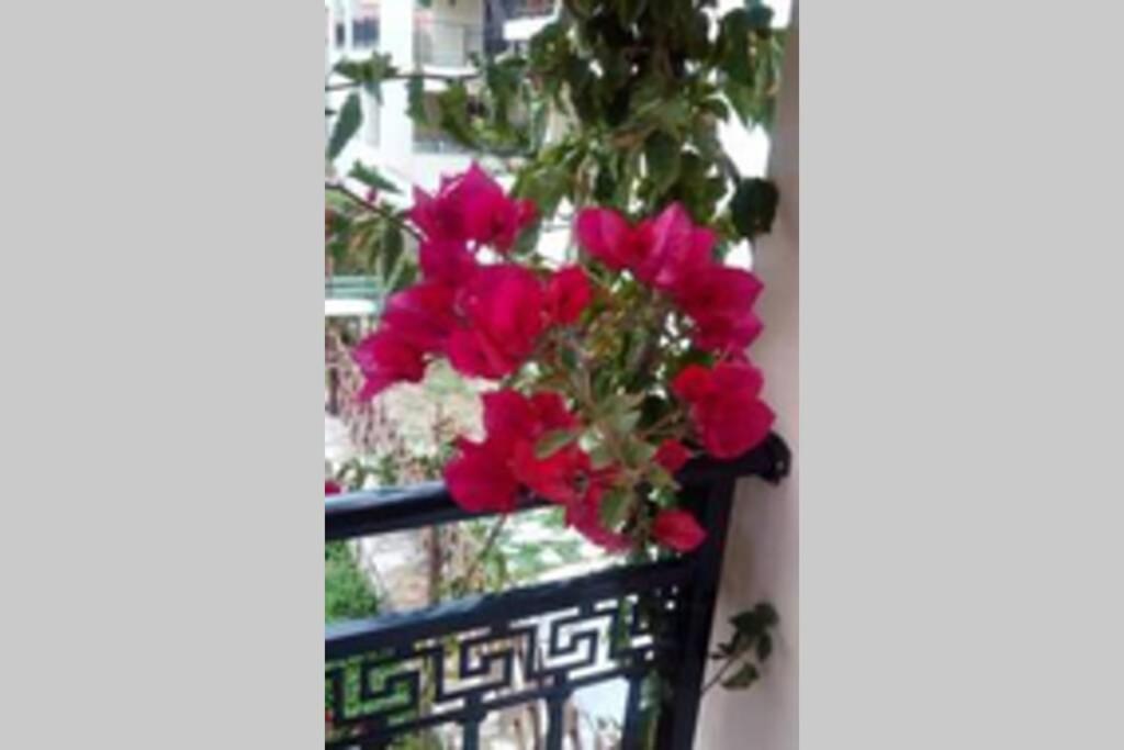 Meandros Apartment Garden View Bandar Skopelos Luaran gambar
